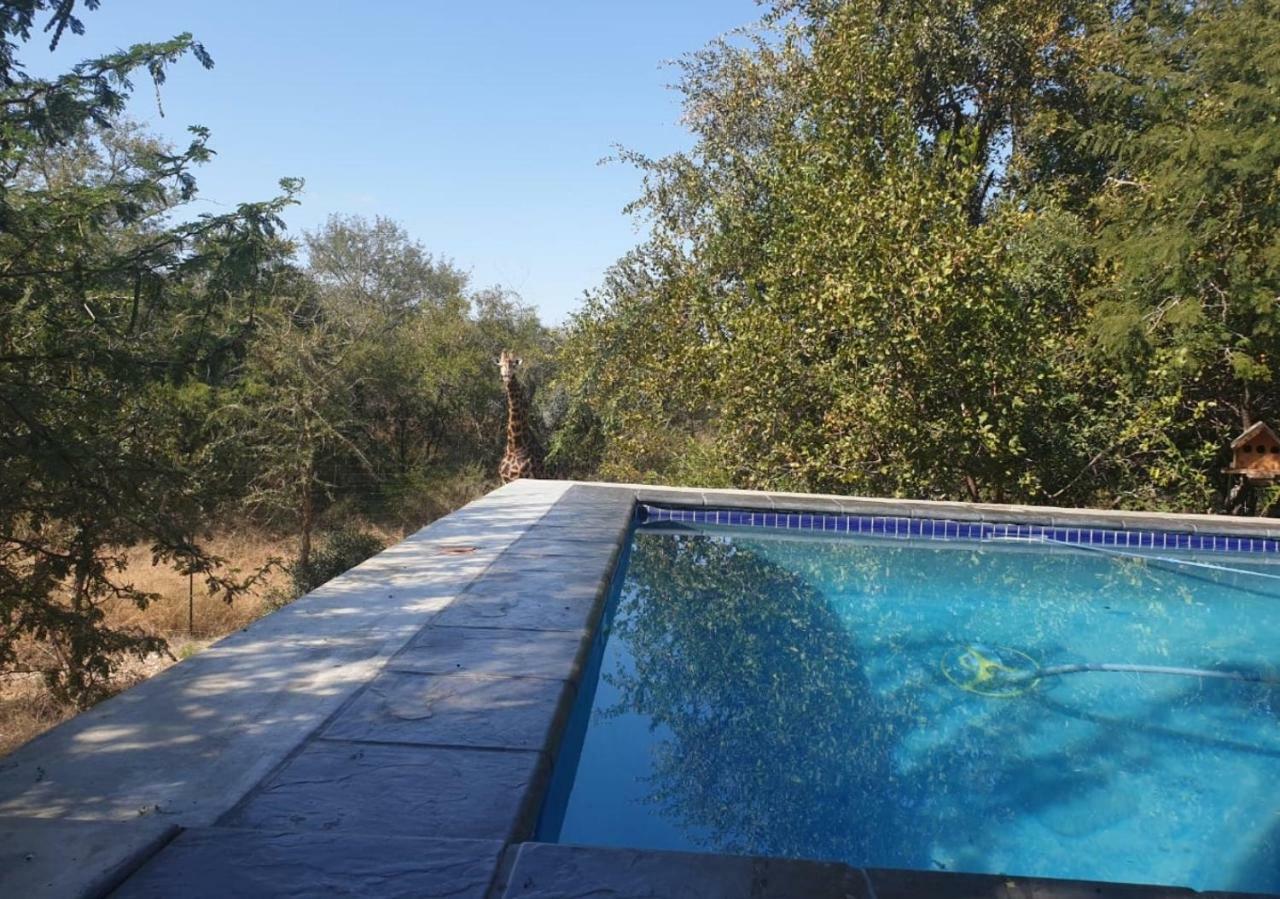 Lionsview Private Lodge - 6 Lions Marloth Park Luaran gambar