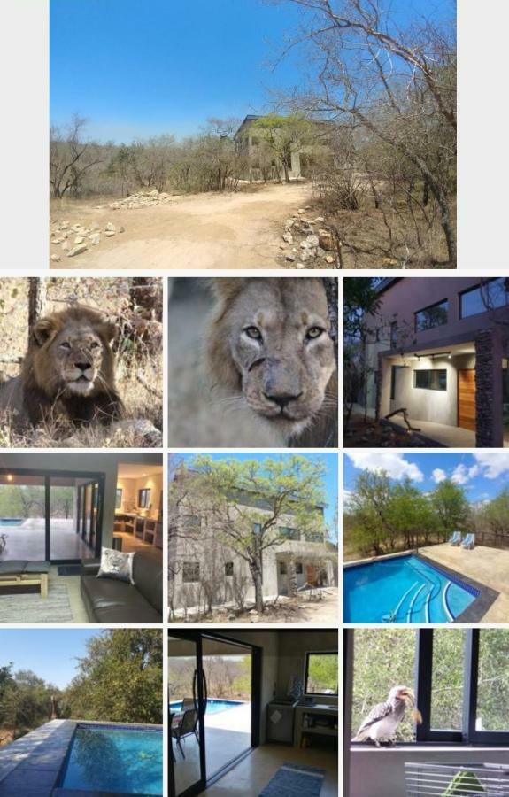 Lionsview Private Lodge - 6 Lions Marloth Park Luaran gambar