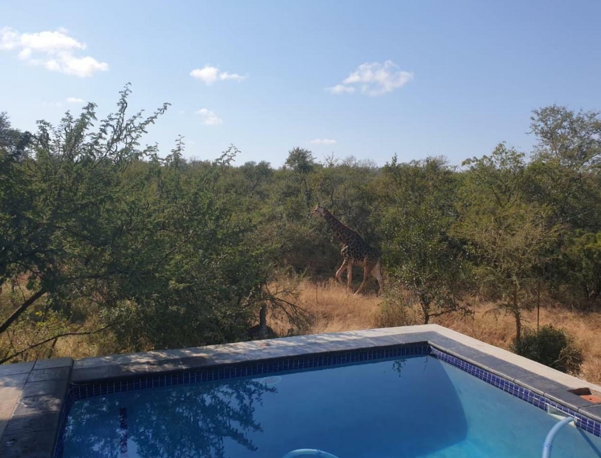 Lionsview Private Lodge - 6 Lions Marloth Park Luaran gambar